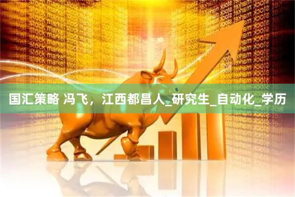 国汇策略 冯飞，江西都昌人_研究生_自动化_学历