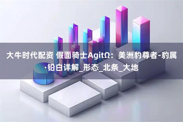 大牛时代配资 假面骑士AgitΩ：美洲豹尊者-豹属·铅白详解_形态_北条_大地