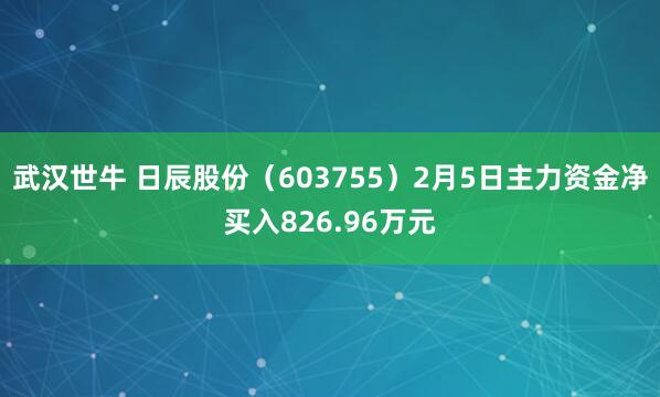 武汉世牛 日辰股份（603755）2月5日主力资金净买入826.96万元