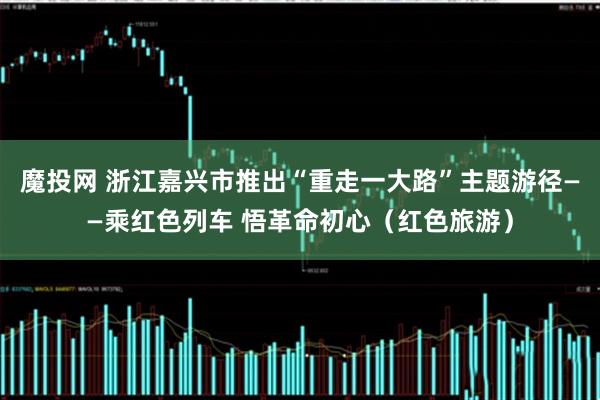 魔投网 浙江嘉兴市推出“重走一大路”主题游径——乘红色列车 悟革命初心（红色旅游）